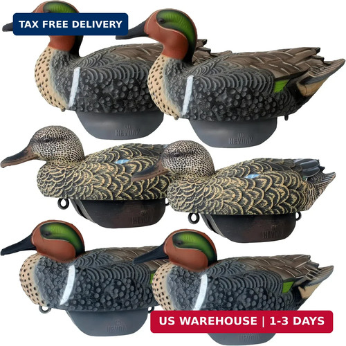 Green wing teal duck - decoys,