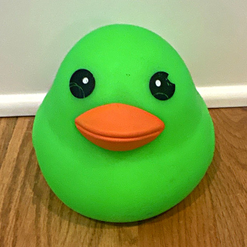 Squeezey duck green